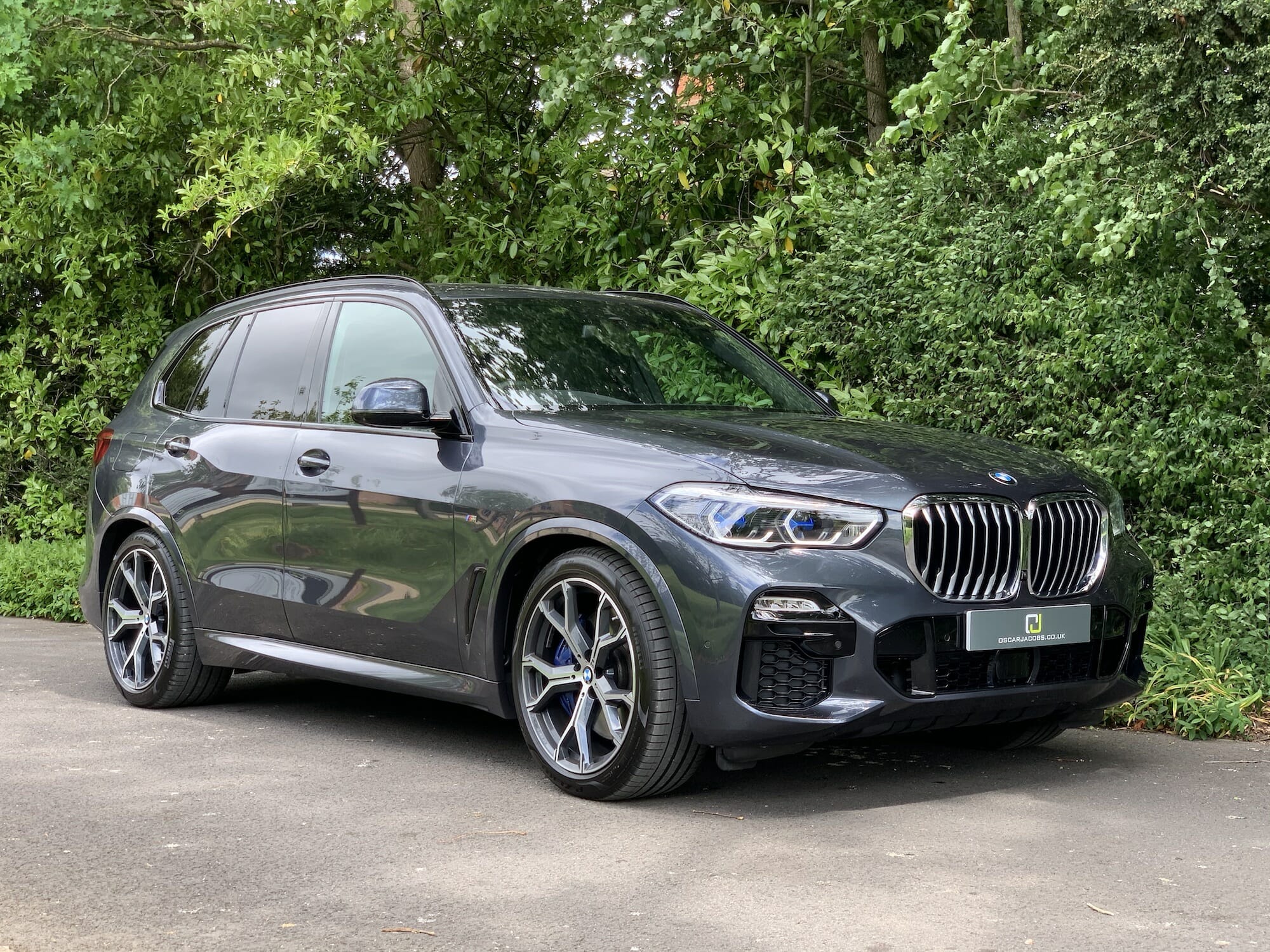 BMW X5 xDrive 3.0d 7 Seats M Sport 2019 (69) | Oscar Jacobs